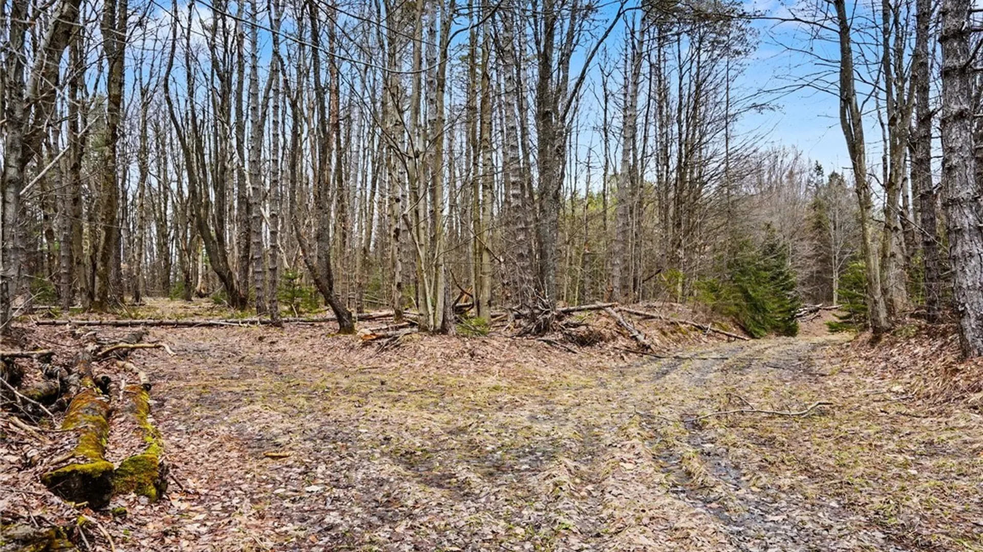 Property at 4474 Townline Road, Yorkshire, NY 14042 41