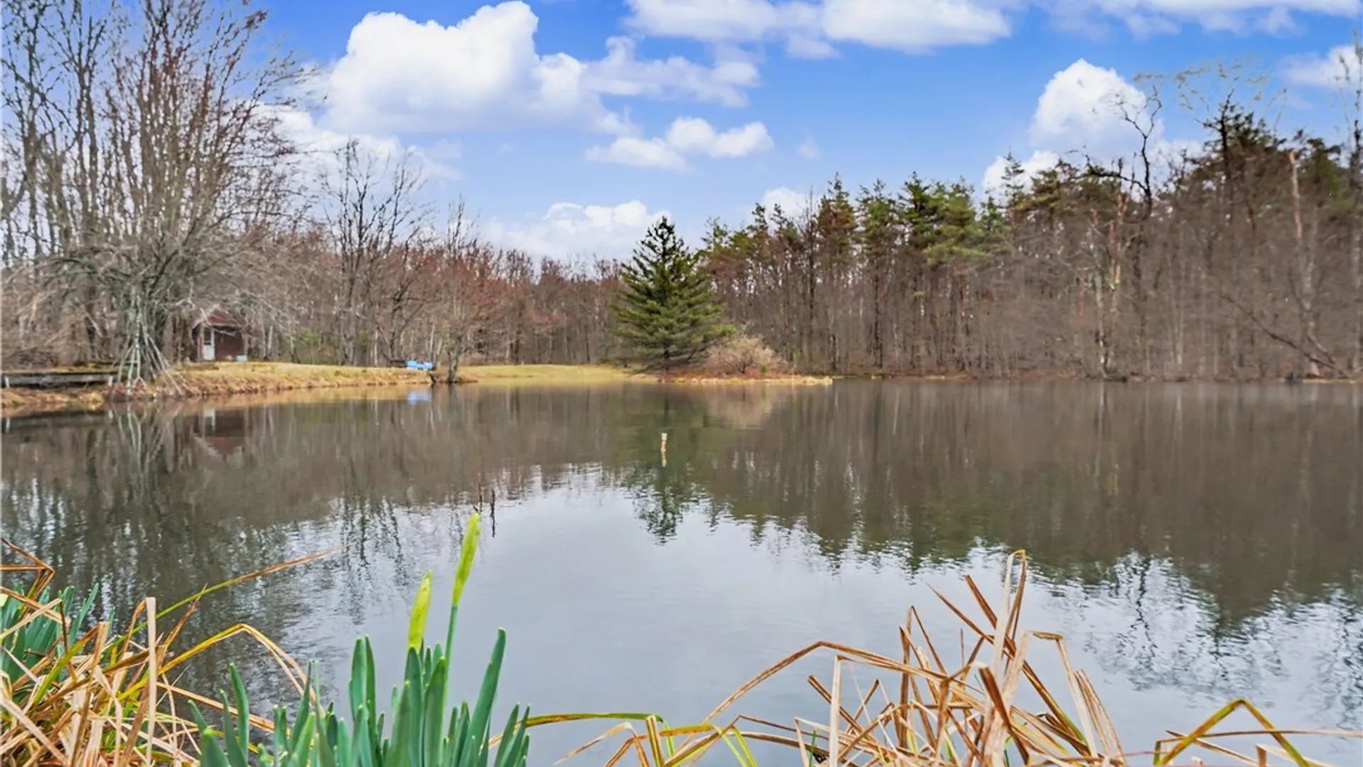 Property at 4474 Townline Road, Yorkshire, NY 14042 42