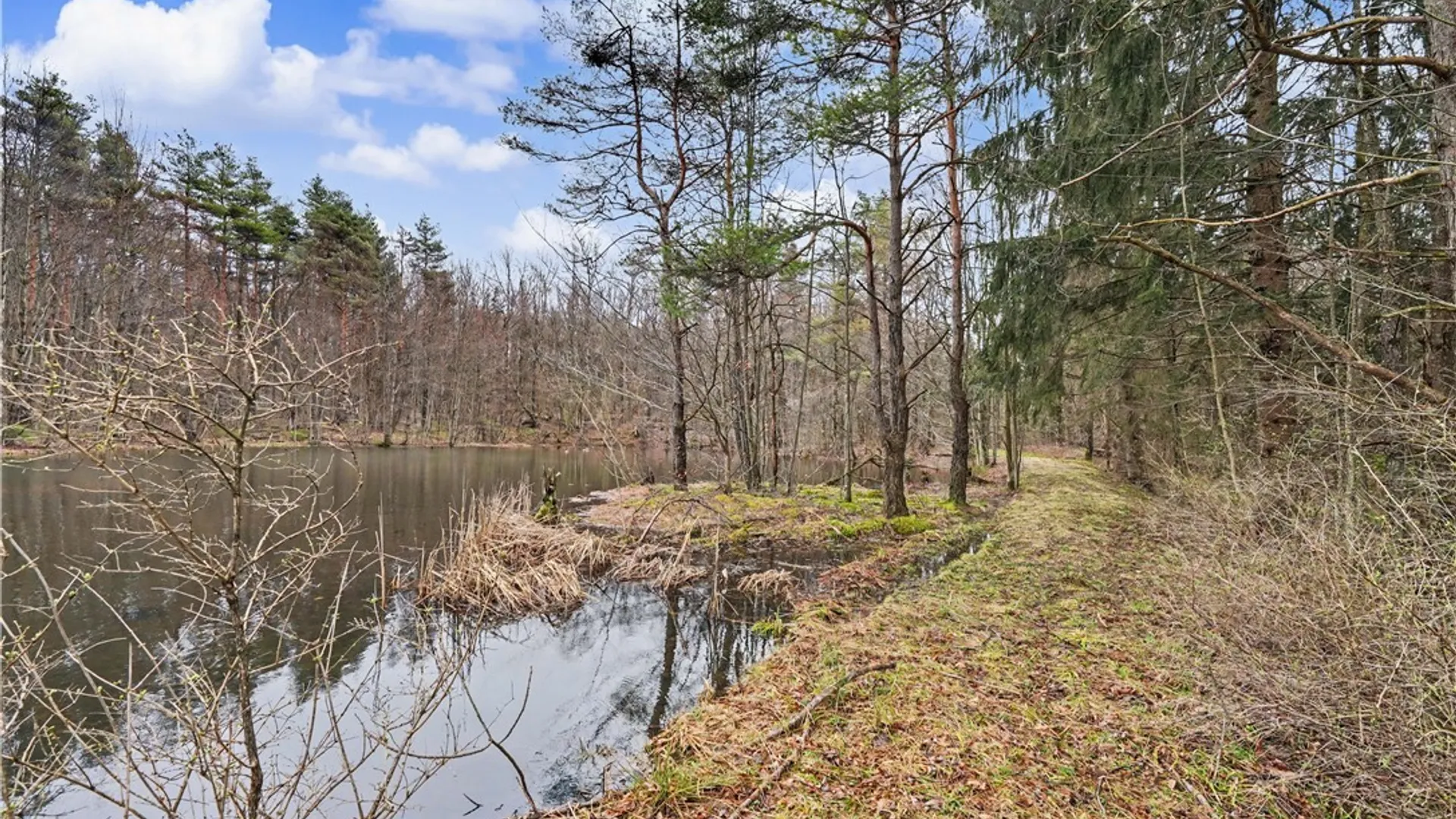 Property at 4474 Townline Road, Yorkshire, NY 14042 43