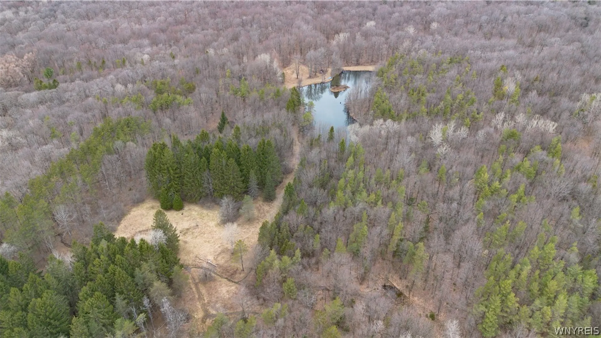 Property at 4474 Townline Road, Yorkshire, NY 14042 47