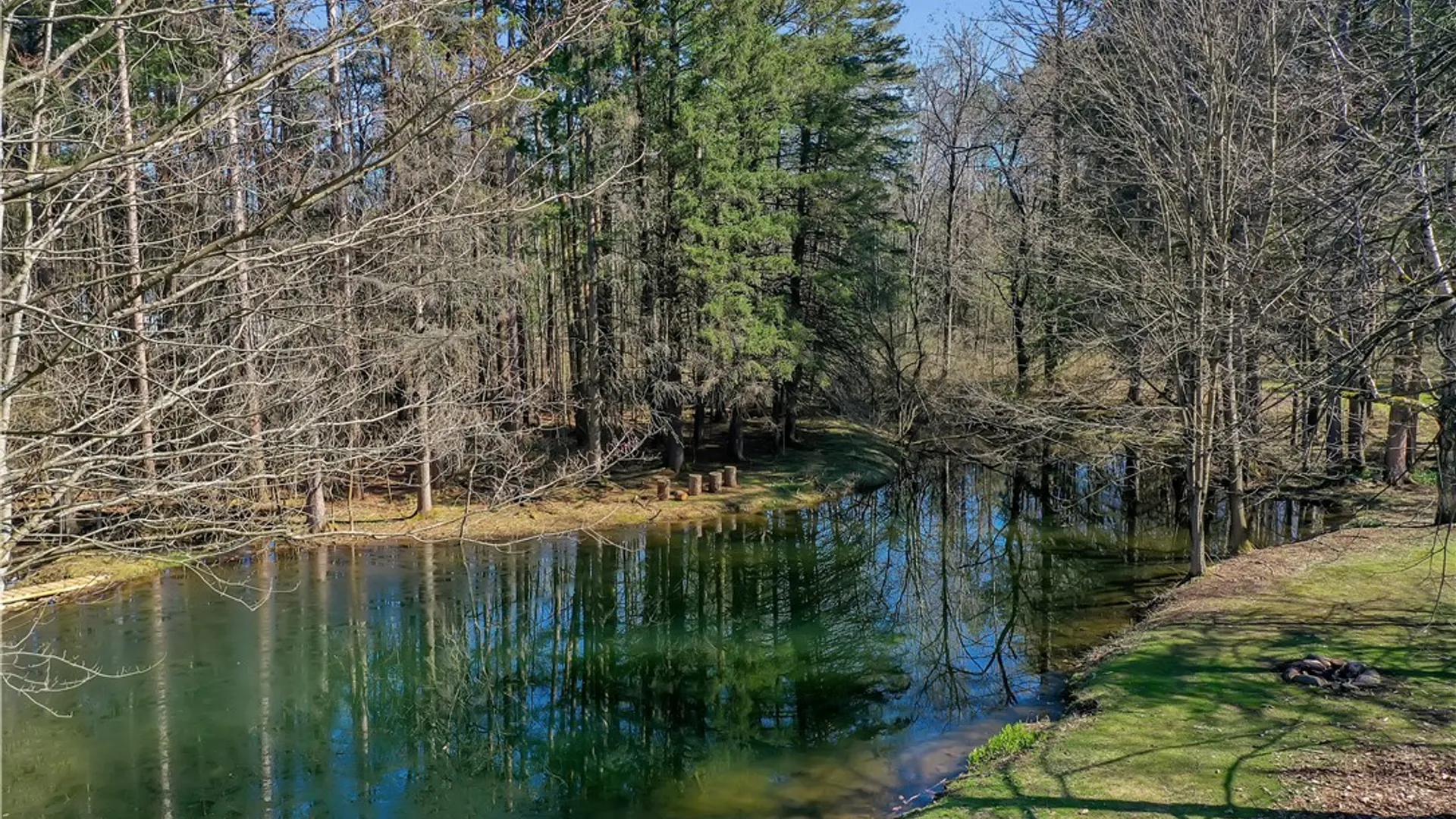 Property at 2566 Genesee Road, Arcade, NY 14009 7