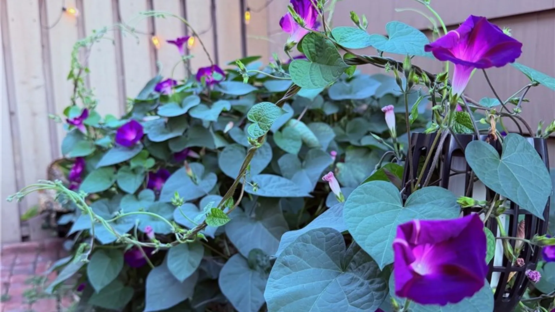 Property at 143 New Wickham Drive, Penfield, NY 14526 27