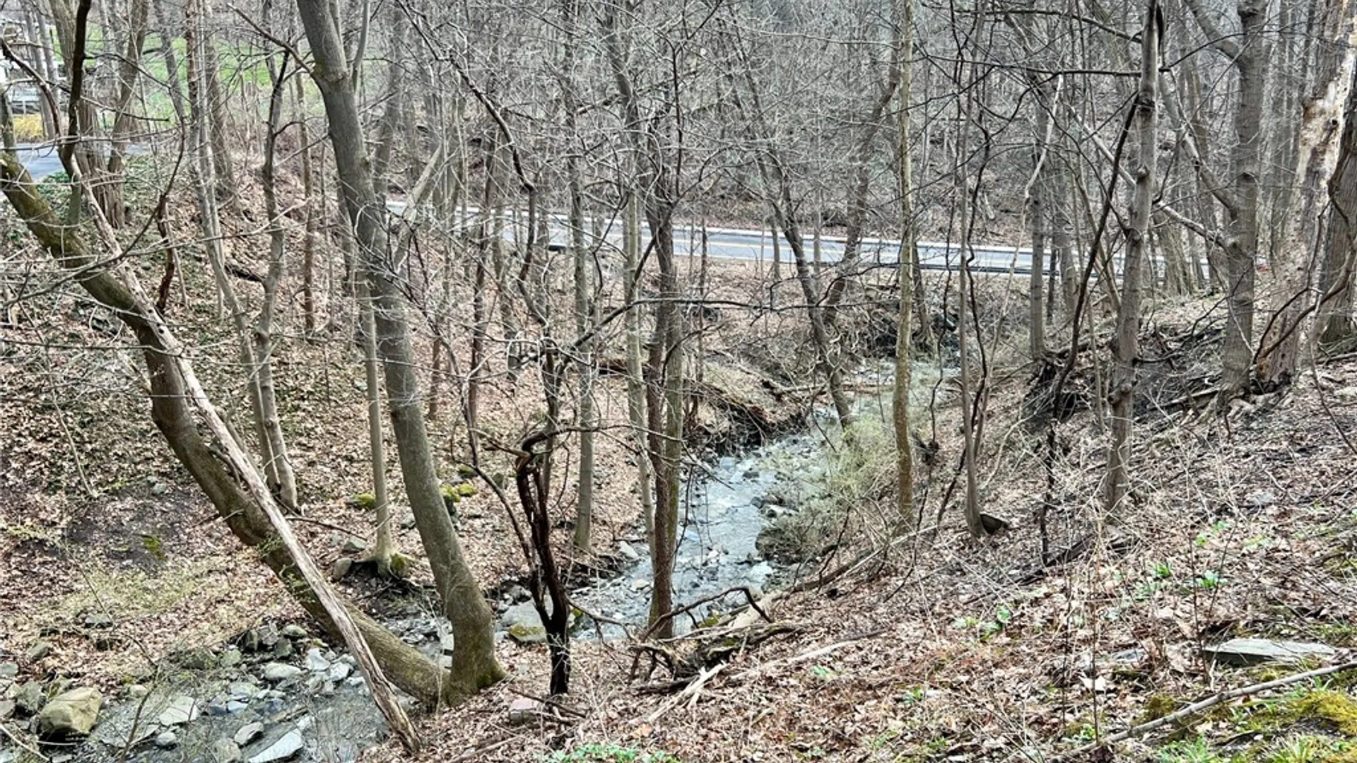 Property at 115 Treva Avenue, Ithaca City, NY 14850 8