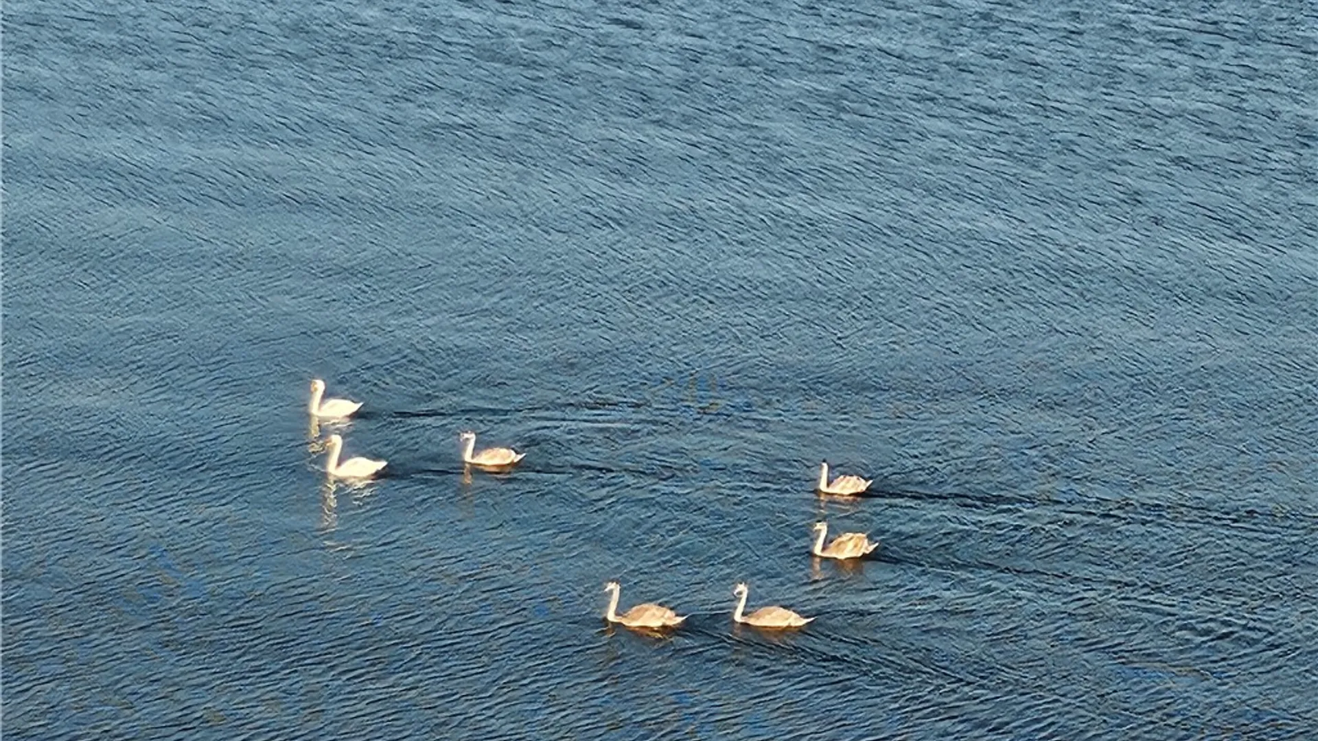 Property at 7945 Lake Rd, Sodus, NY 14555 24