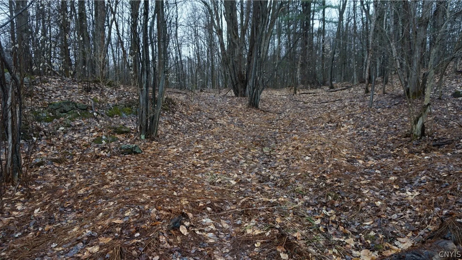 Property at Nys Rte 3, Wilna, NY 13619 23