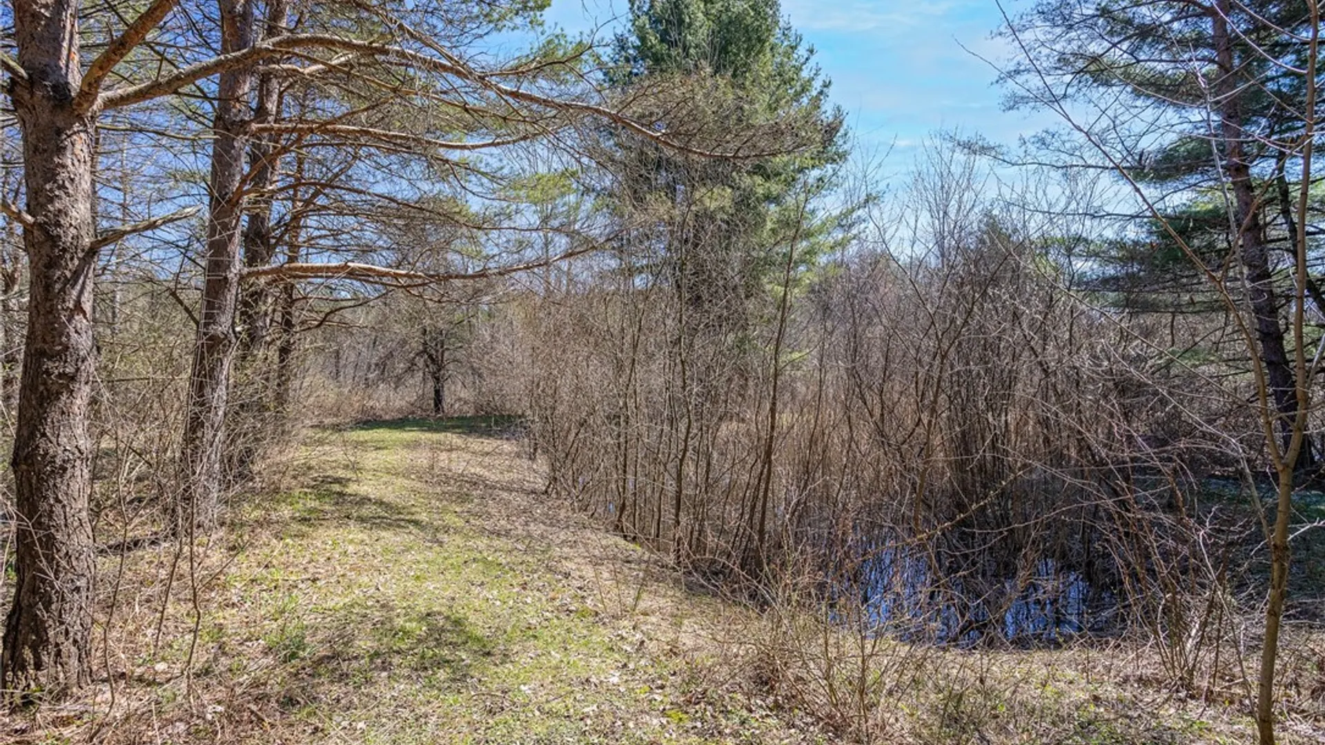 Property at 809 Schad Road, Bennington, NY 14004 22
