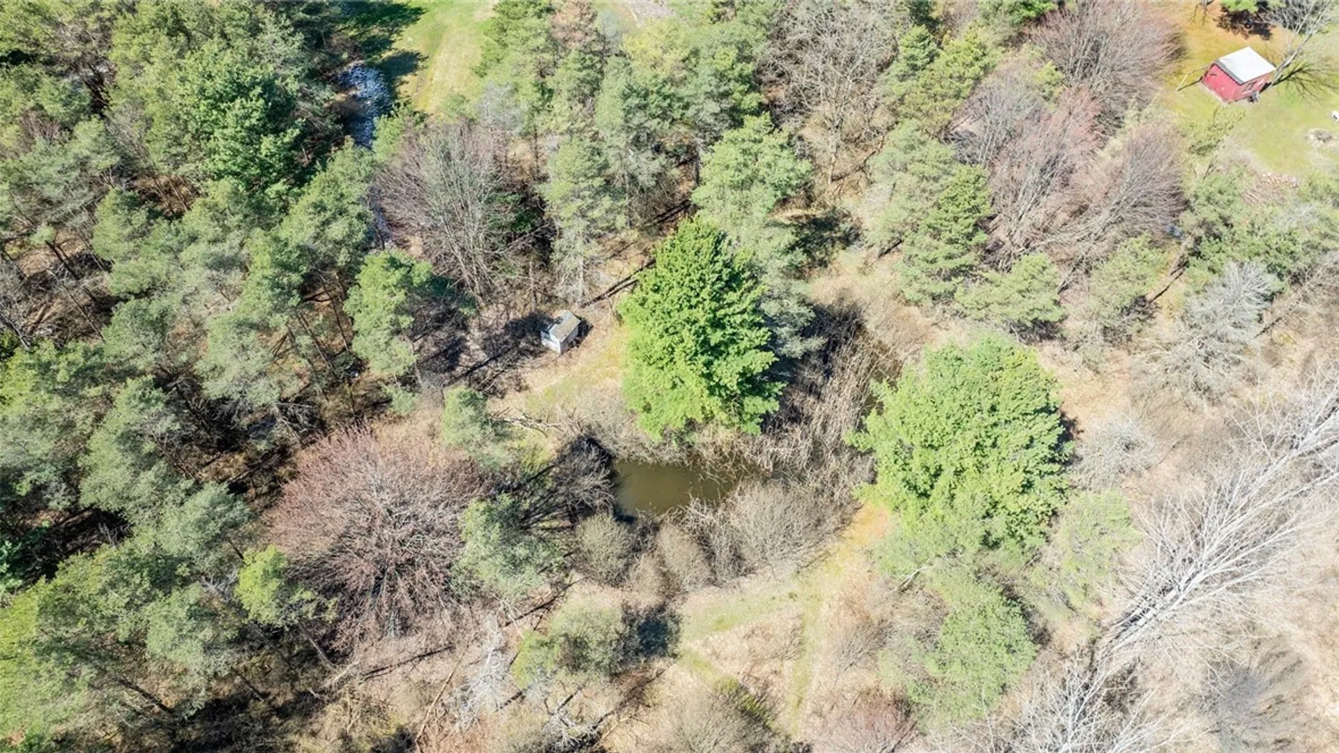 Property at 809 Schad Road, Bennington, NY 14004 27