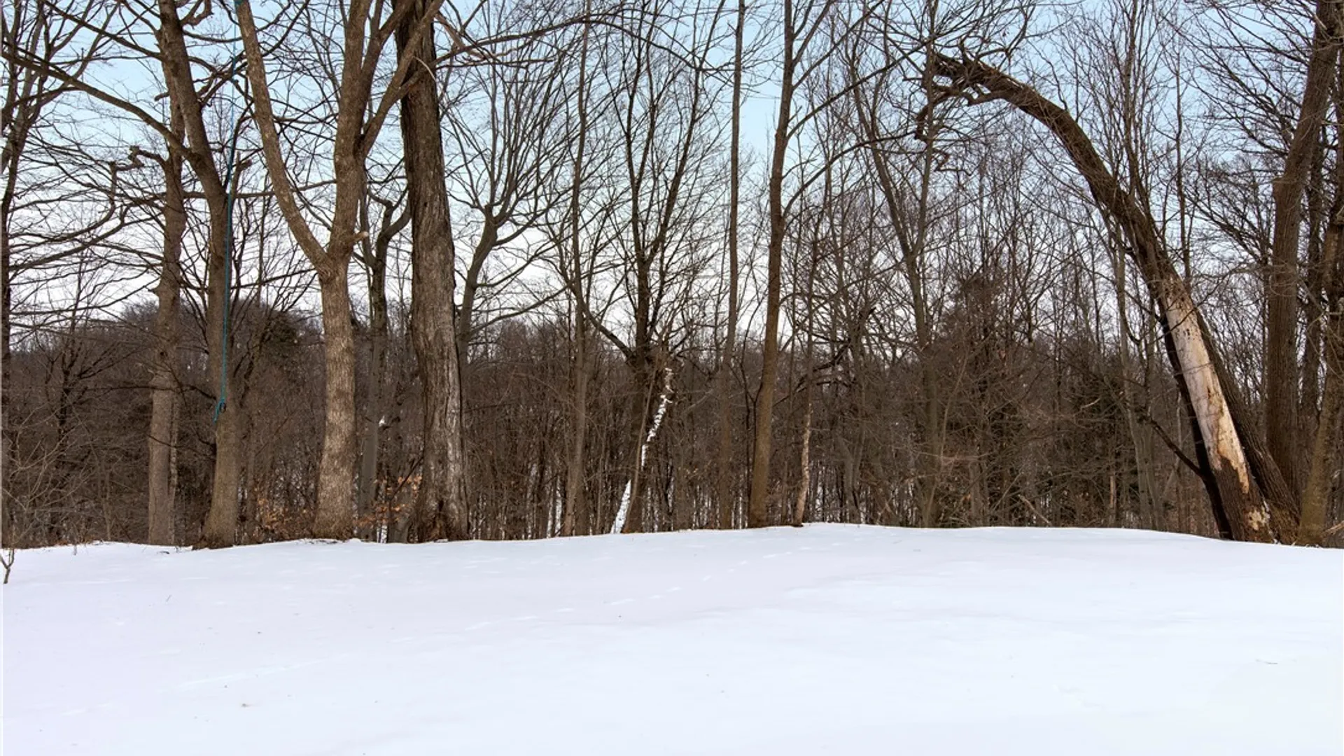 Property at 644 Daytona Street, Deerfield, NY 13502 10