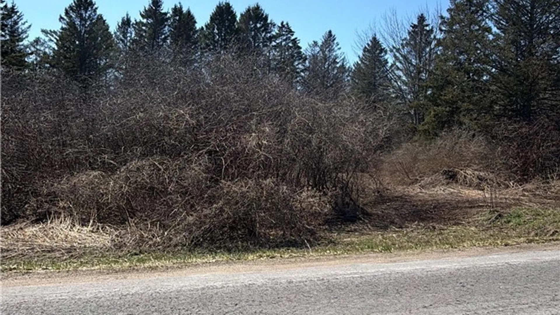 Property at 00 Fort Leazier Road, Mexico, NY 13114 5