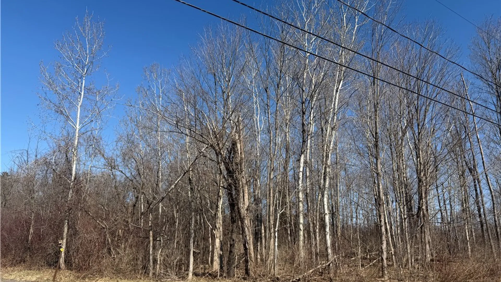 Property at 0 Fort Leazier Road, Mexico, NY 13114 5