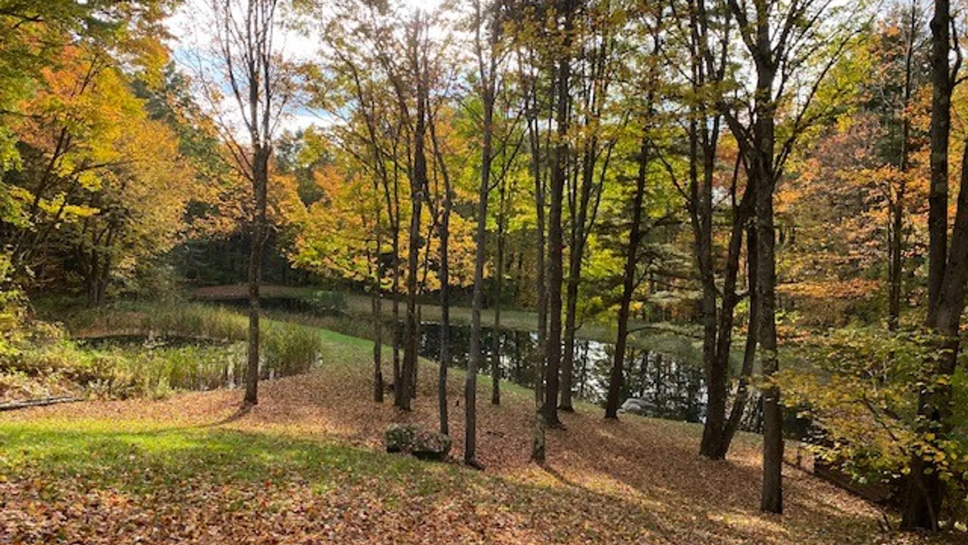 Property at 207 Pheasant Run Road, Middlefield, NY 13326 3