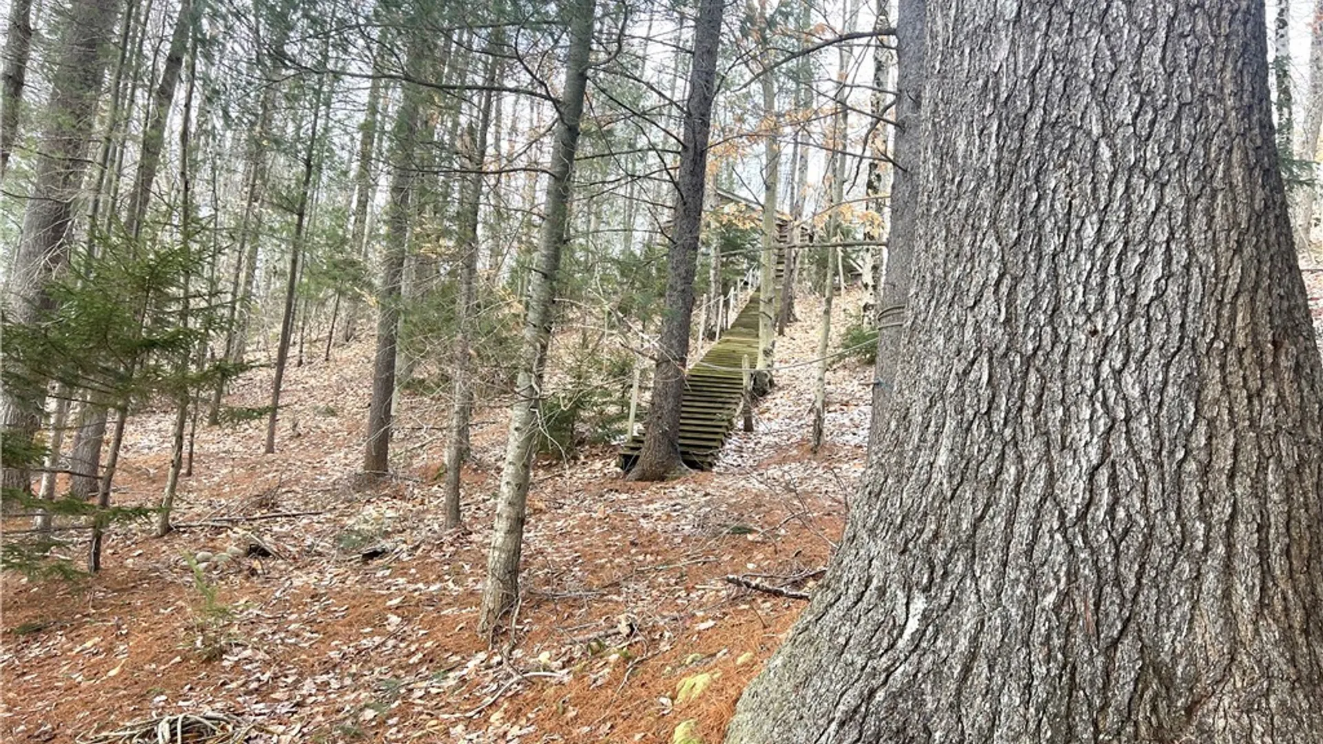 Property at 10416 Soft Maple Reservoir, Watson, NY 13367 16