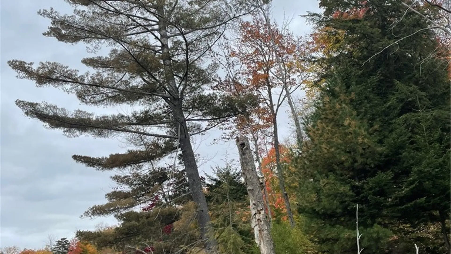 Property at 10416 Soft Maple Reservoir, Watson, NY 13367 18