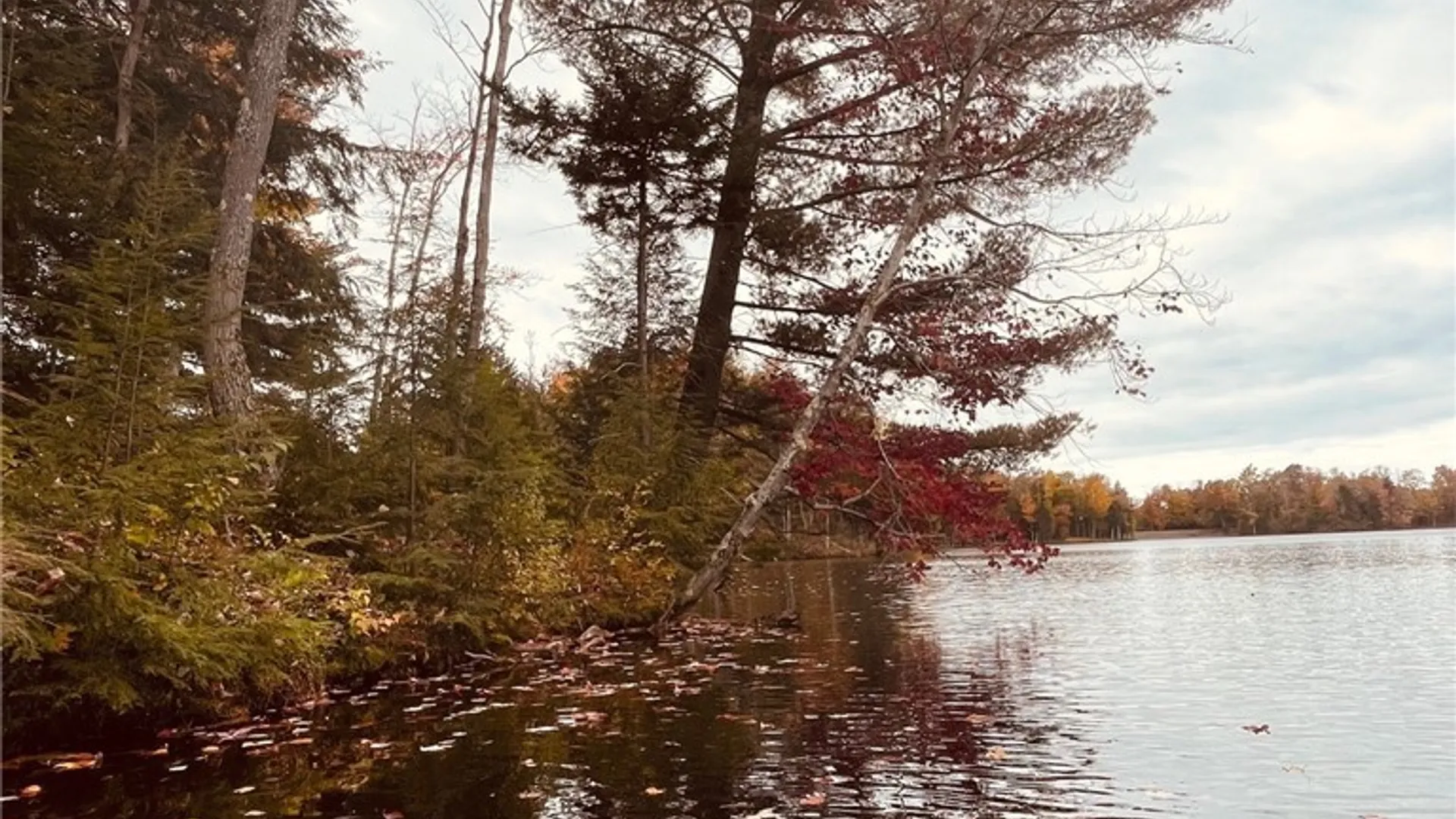 Property at 10416 Soft Maple Reservoir, Watson, NY 13367 19