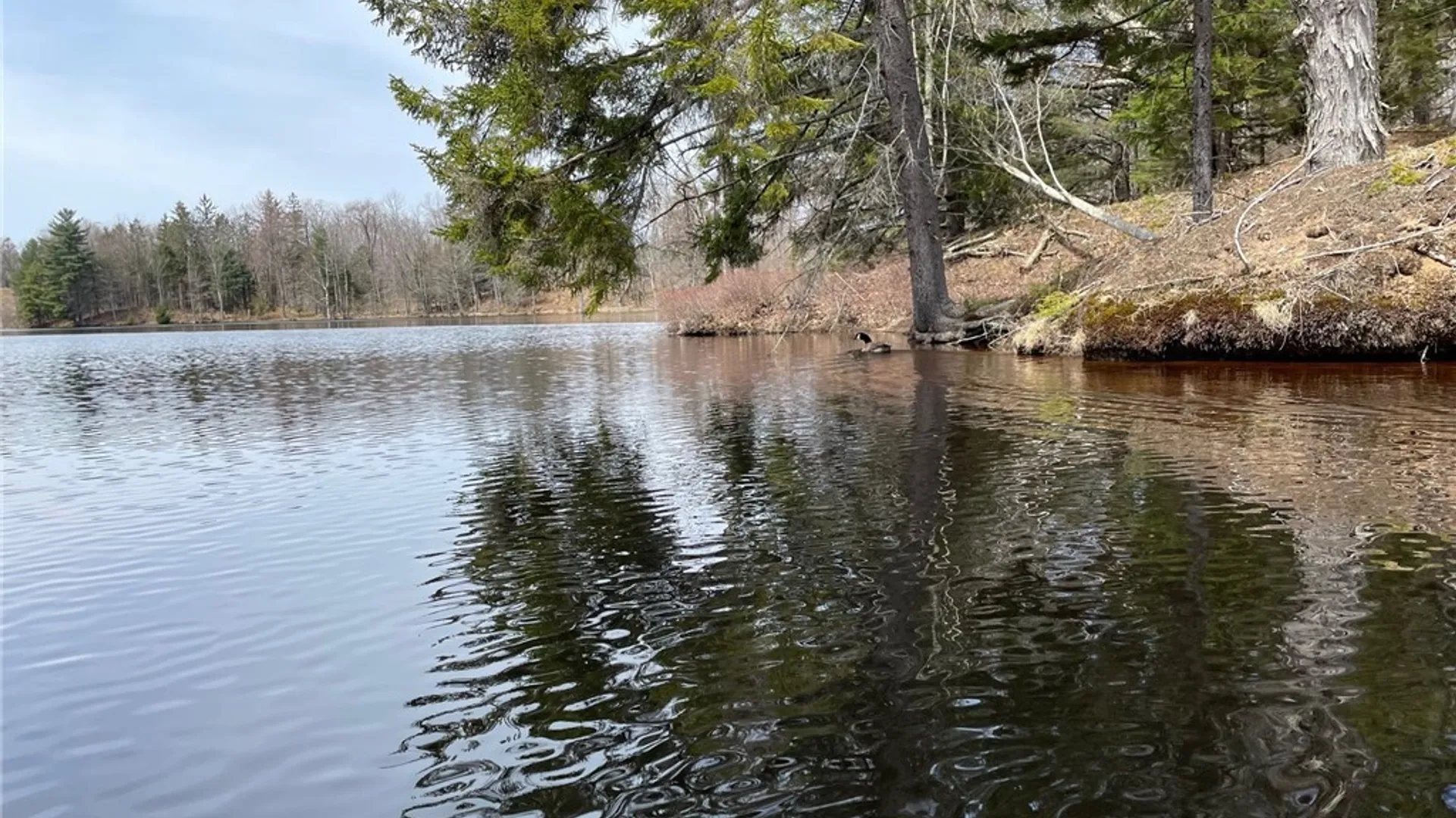 Property at 10416 Soft Maple Reservoir, Watson, NY 13367 3