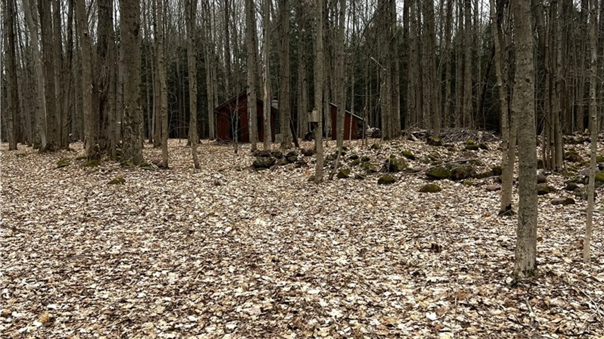 Property at 25 Pratt Drive, Granby, NY 13069 15