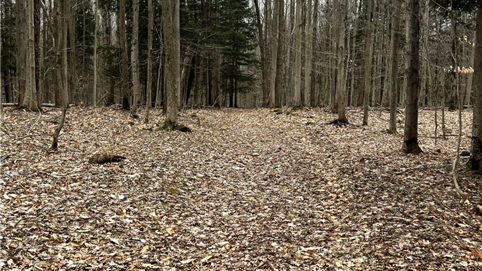 Property at 25 Pratt Drive, Granby, NY 13069 7