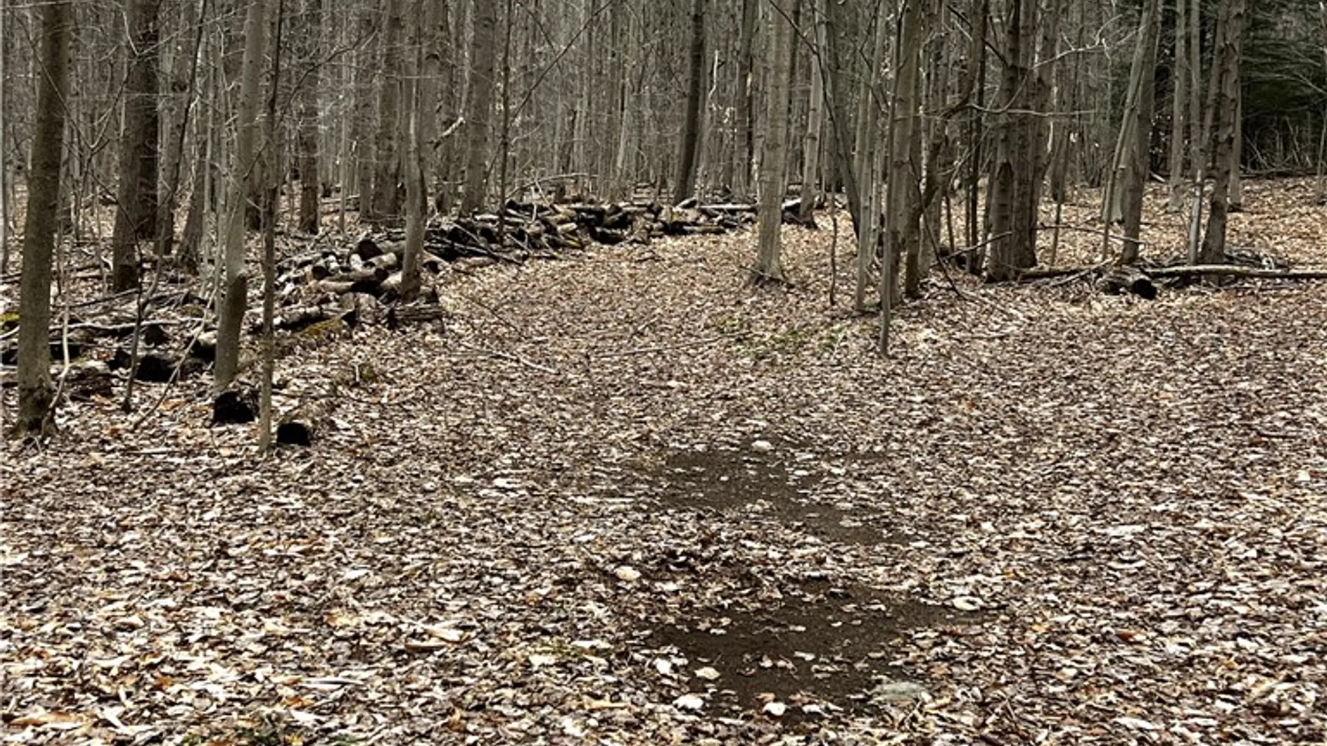 Property at 25 Pratt Drive, Granby, NY 13069 8