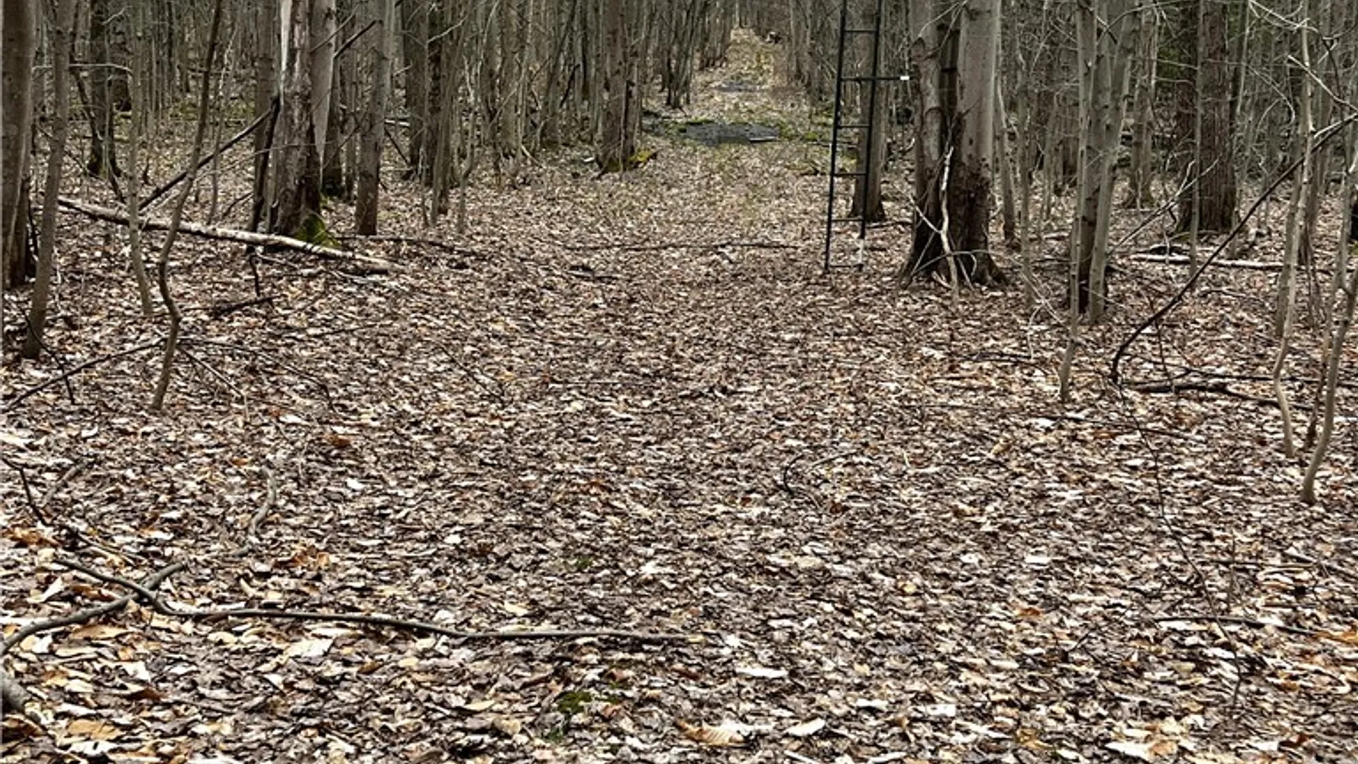 Property at 25 Pratt Drive, Granby, NY 13069 9