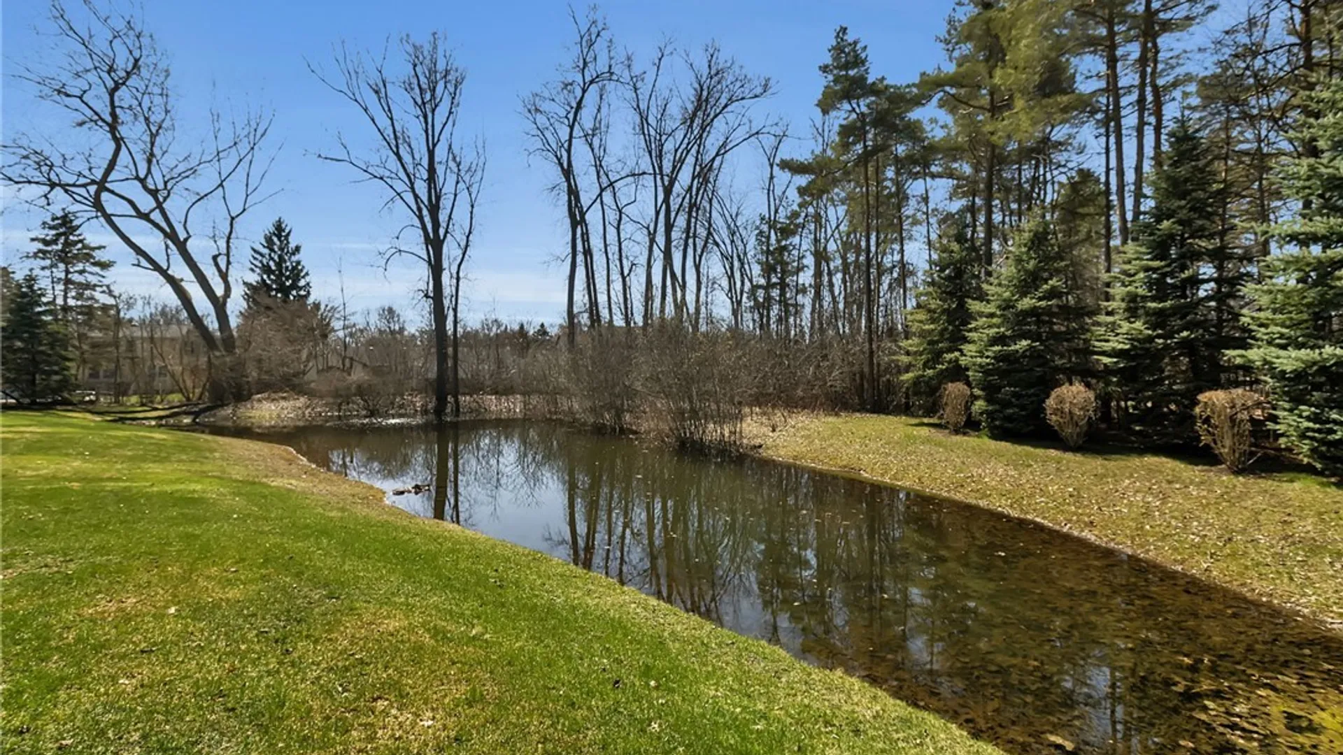 Property at 40 Collins Court, Amherst, NY 14068 44