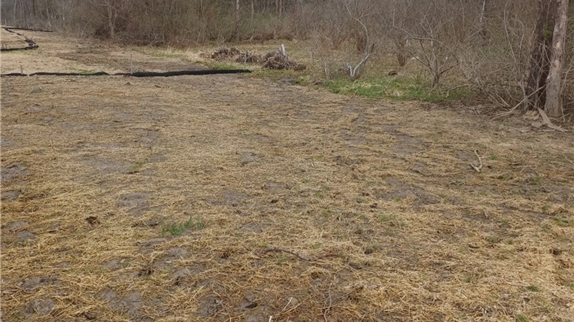 Property at Wilson Road, Collins, NY 14034 2