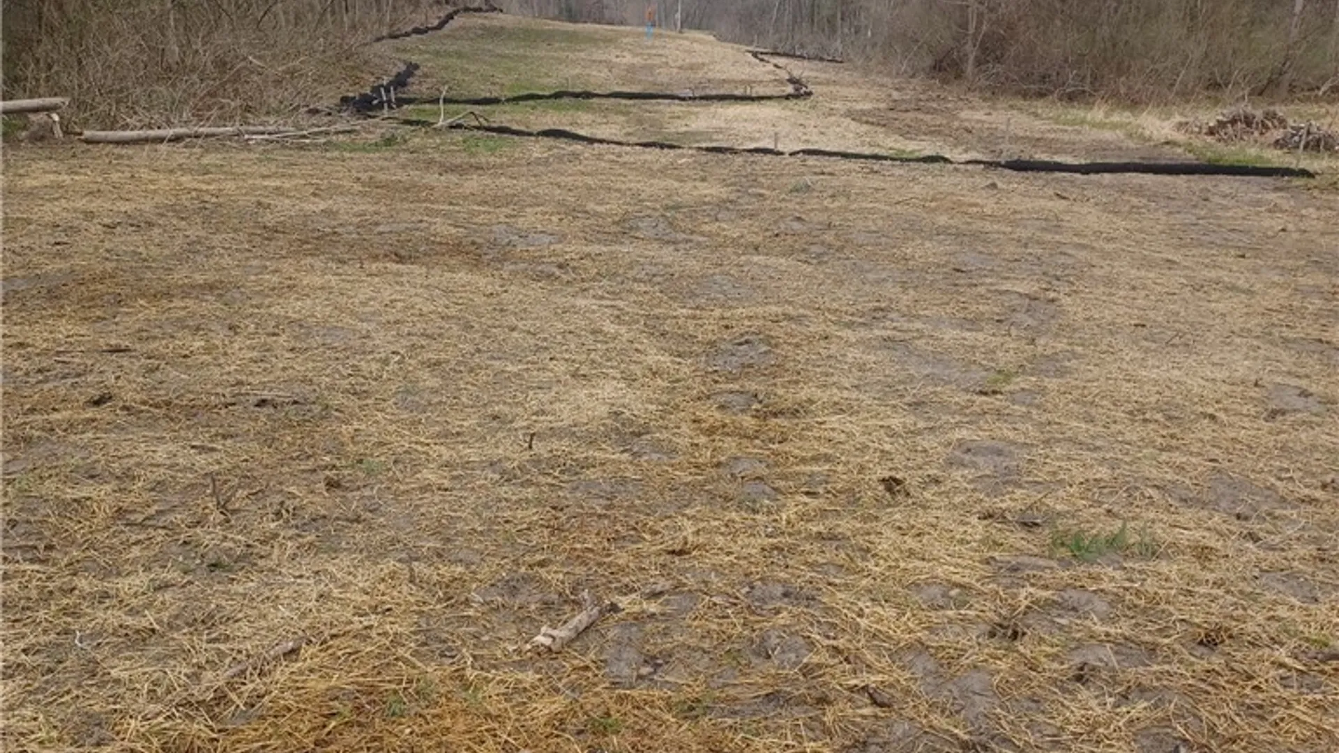 Property at Wilson Road, Collins, NY 14034 3