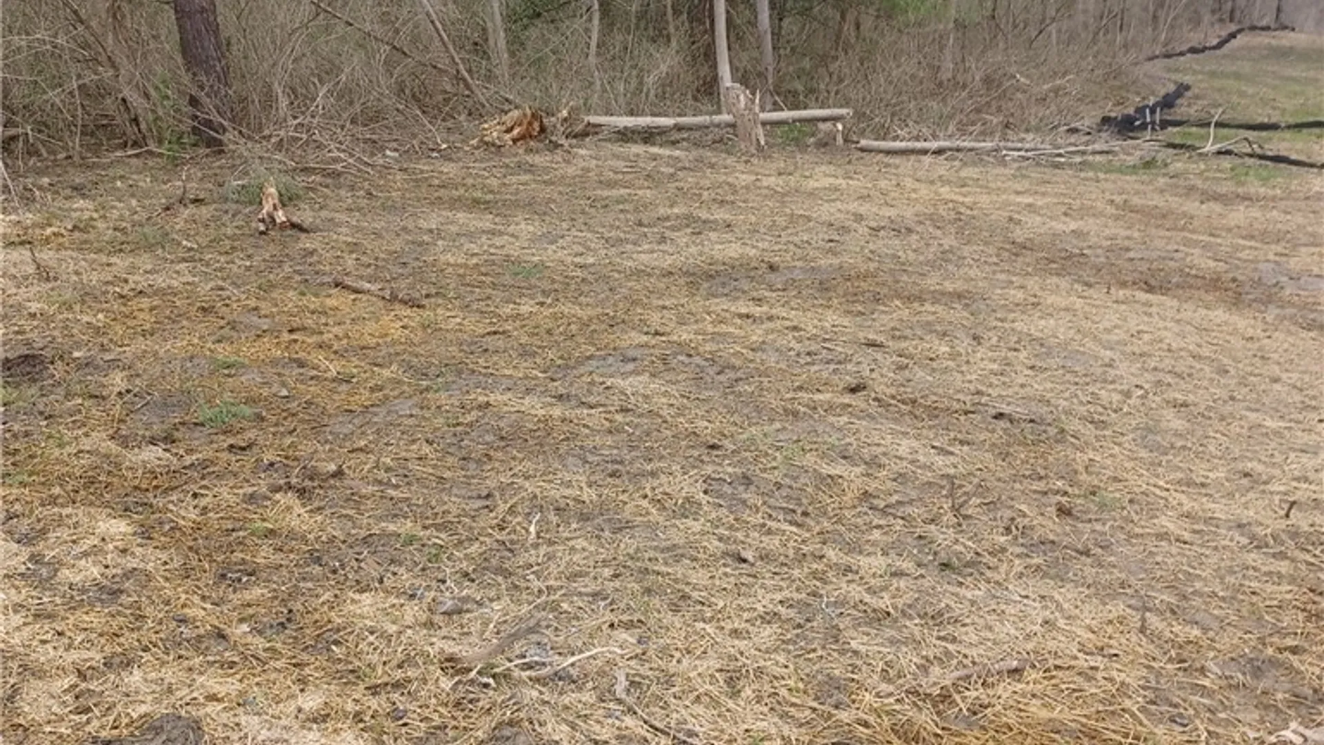 Property at Wilson Road, Collins, NY 14034 4