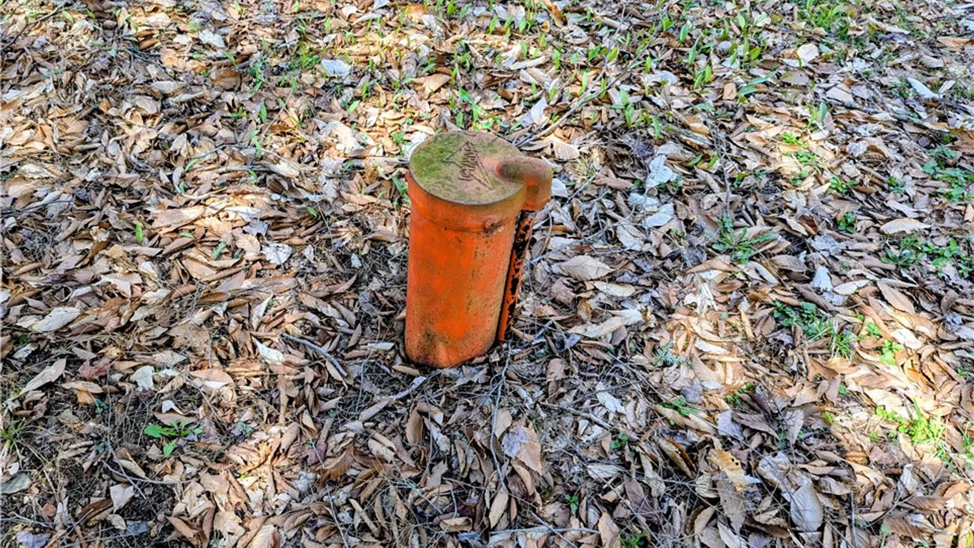 Property at 198 Spring Run Road, Norwich, PA 16750 22