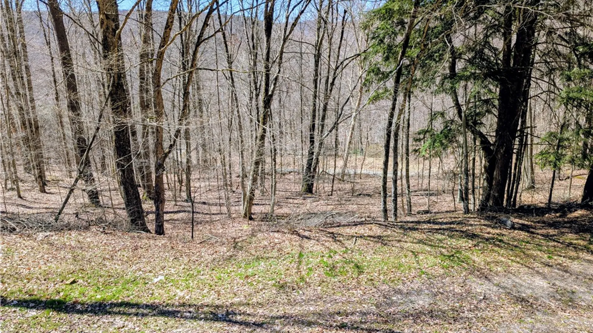 Property at 198 Spring Run Road, Norwich, PA 16750 5