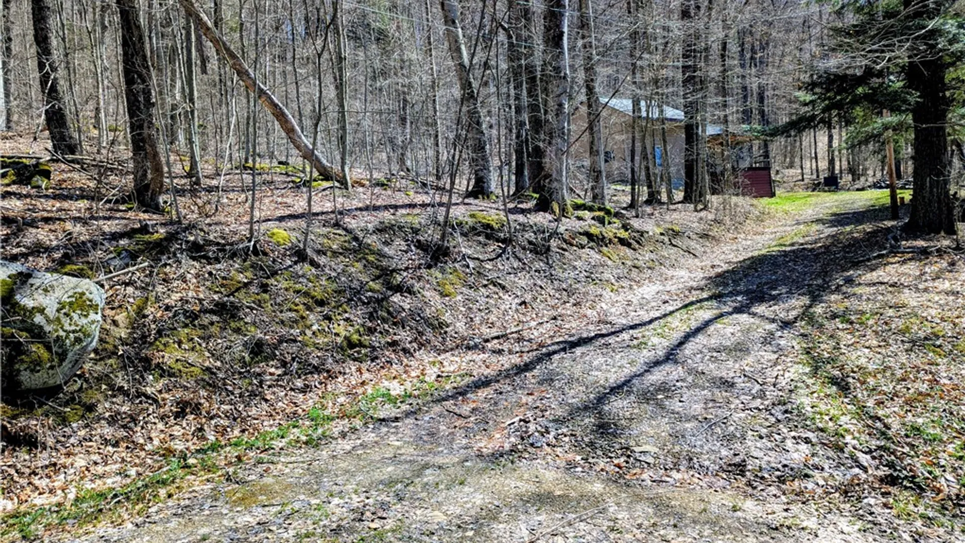 Property at 198 Spring Run Road, Norwich, PA 16750 6