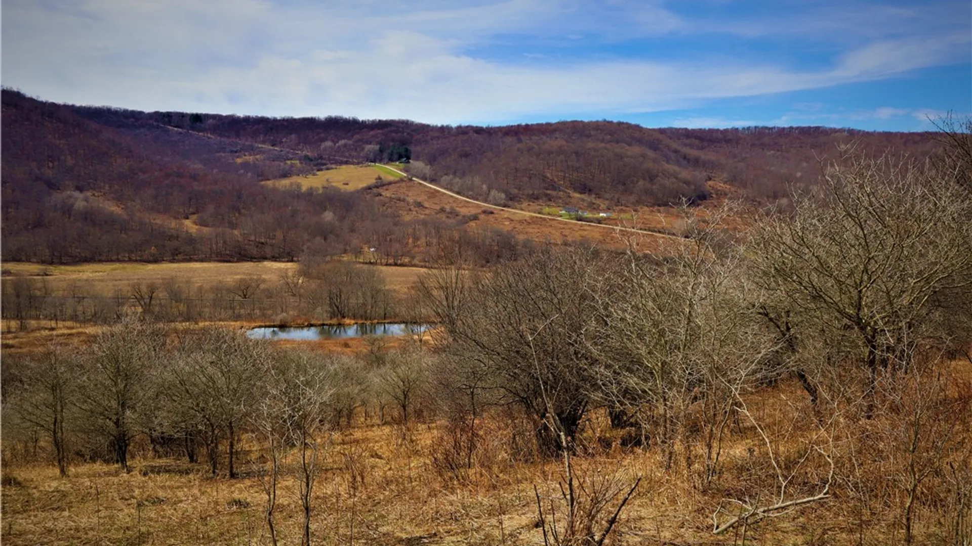 Property at 5306 Route 16, Ischua, NY 14743 10