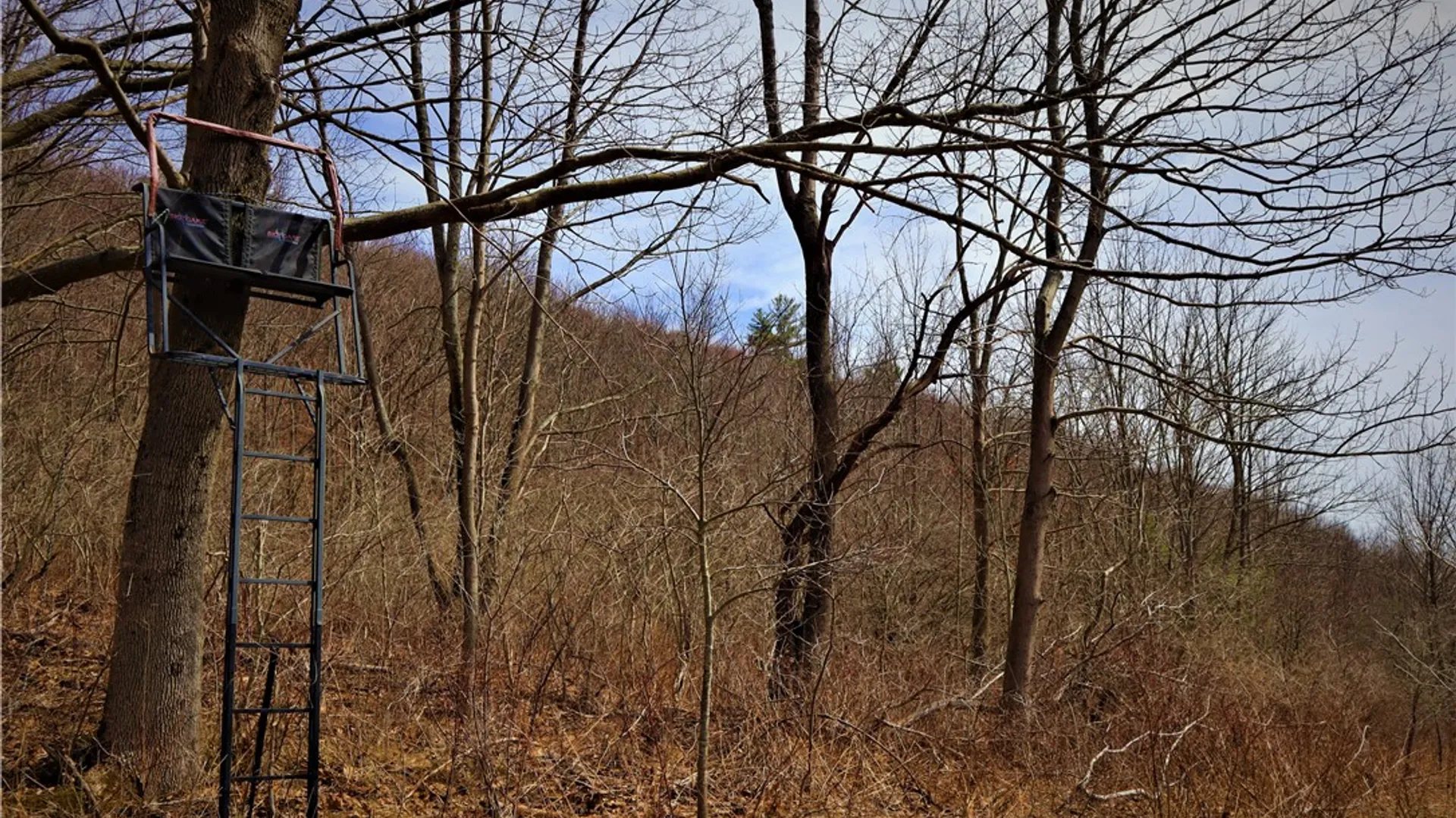 Property at 5306 Route 16, Ischua, NY 14743 12