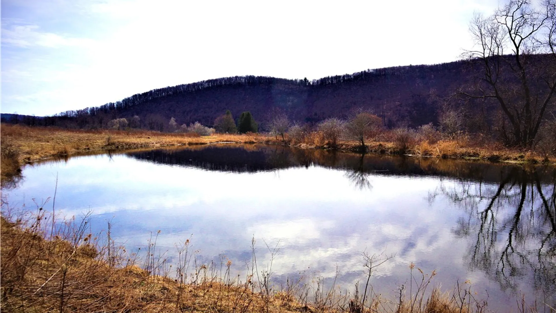 Property at 5306 Route 16, Ischua, NY 14743 13