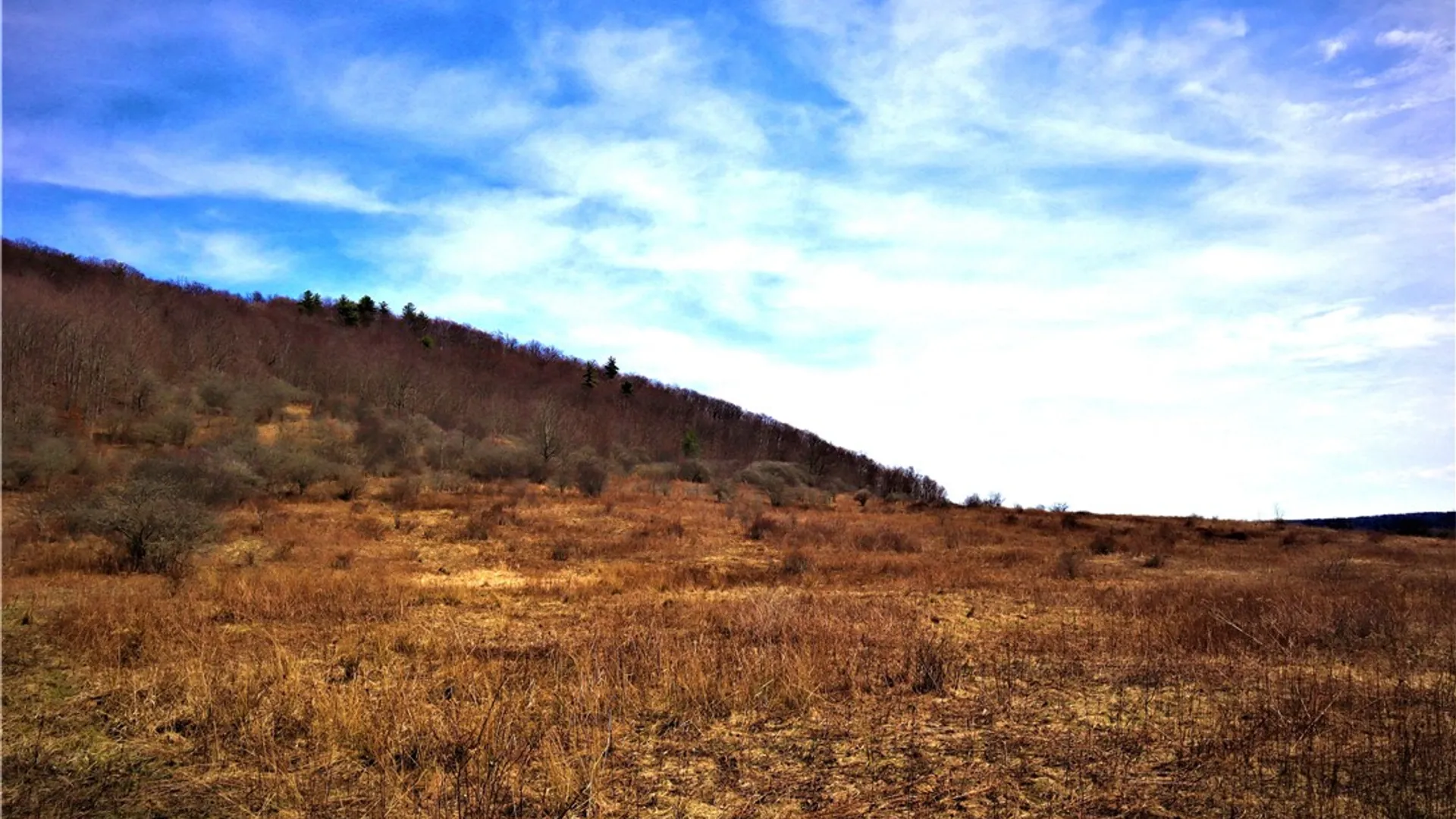 Property at 5306 Route 16, Ischua, NY 14743 14