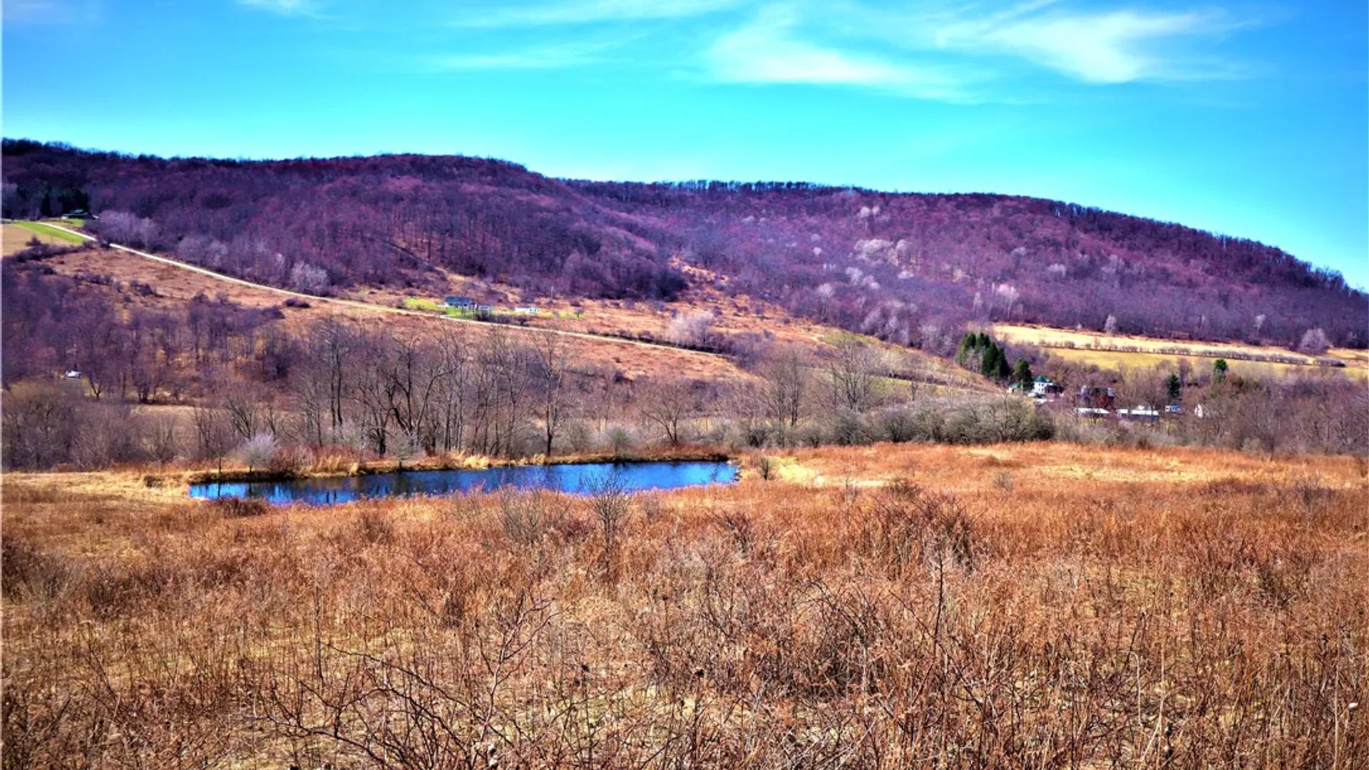 Property at 5306 Route 16, Ischua, NY 14743 15