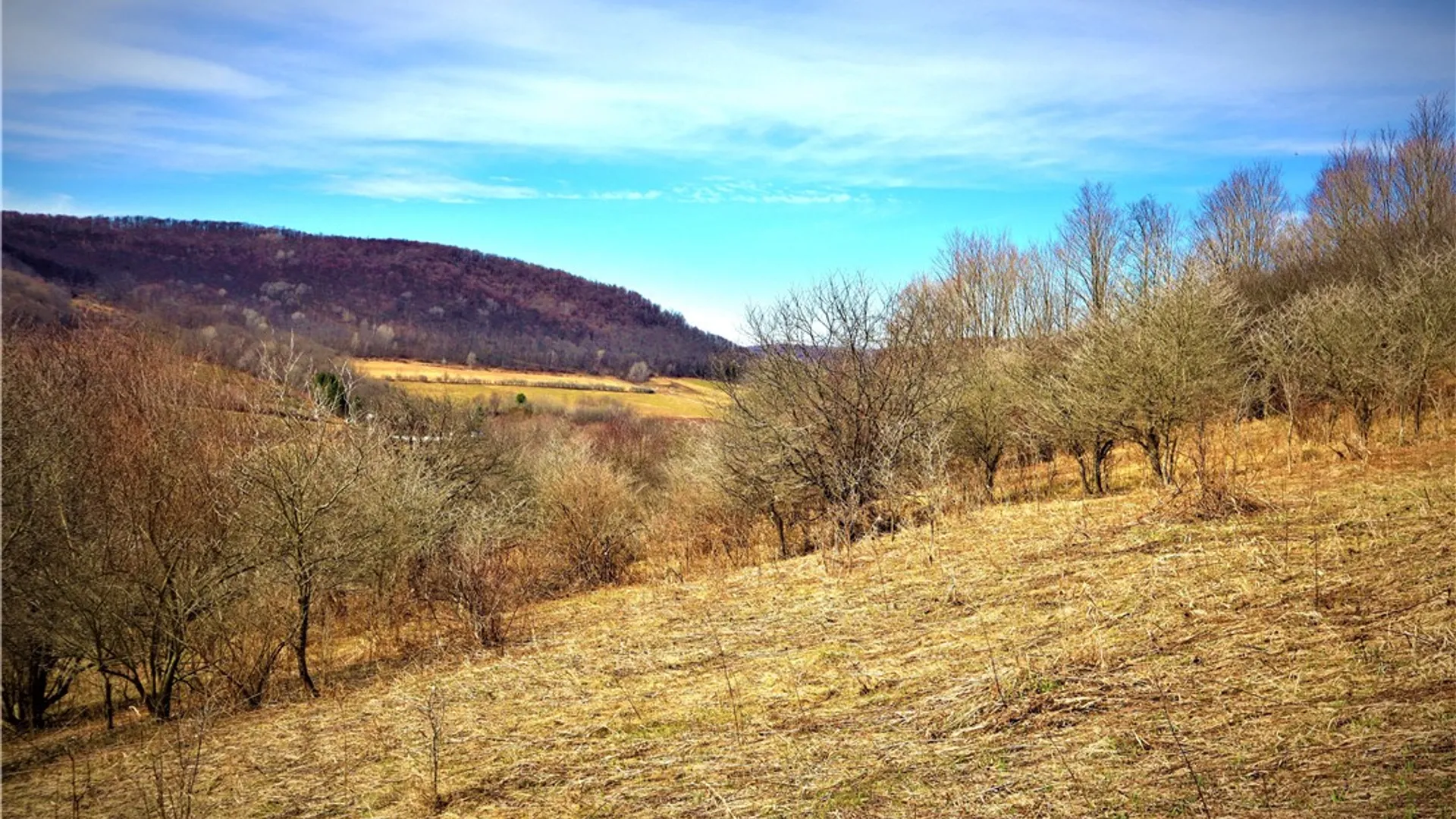 Property at 5306 Route 16, Ischua, NY 14743 16