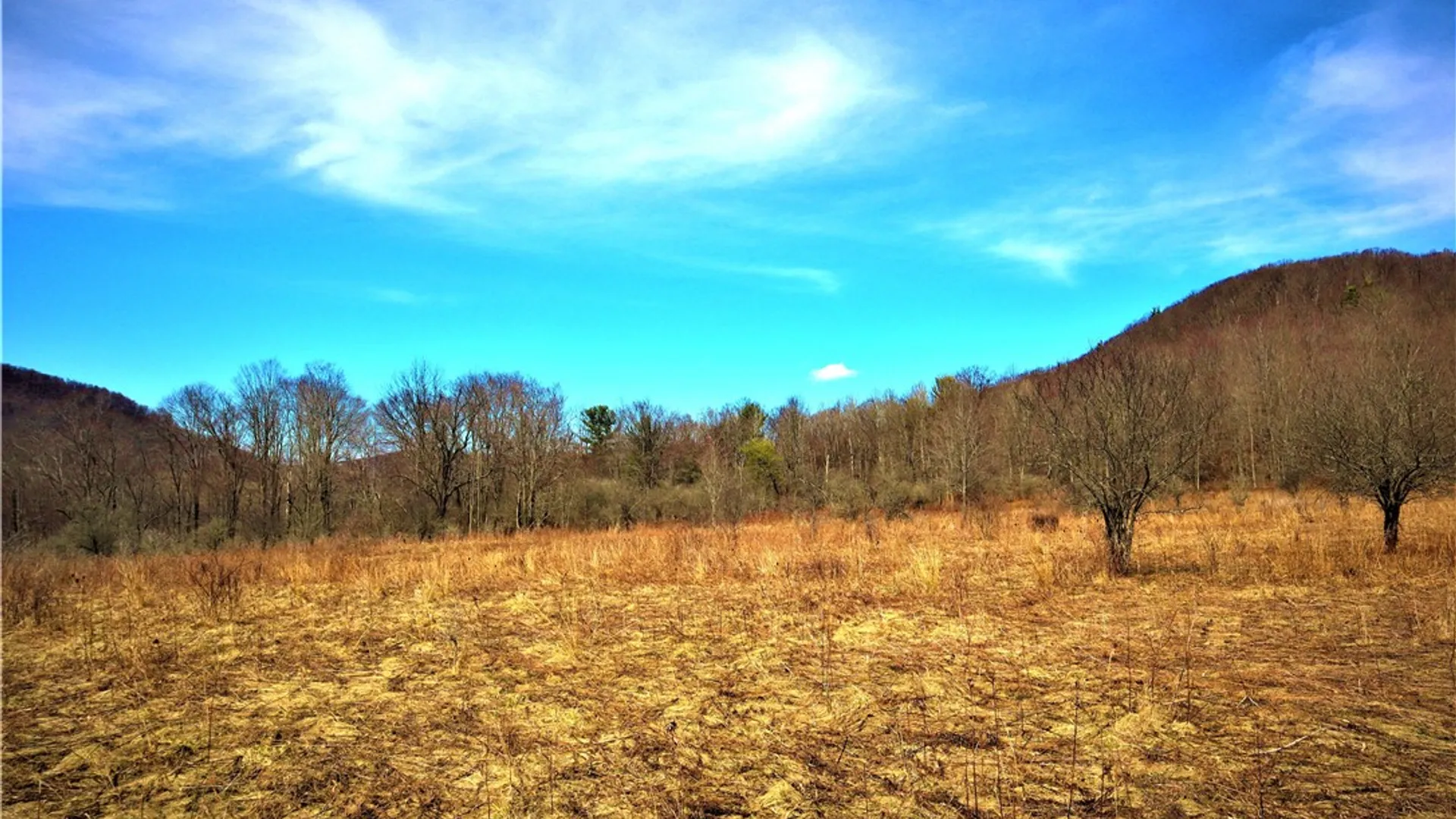 Property at 5306 Route 16, Ischua, NY 14743 17