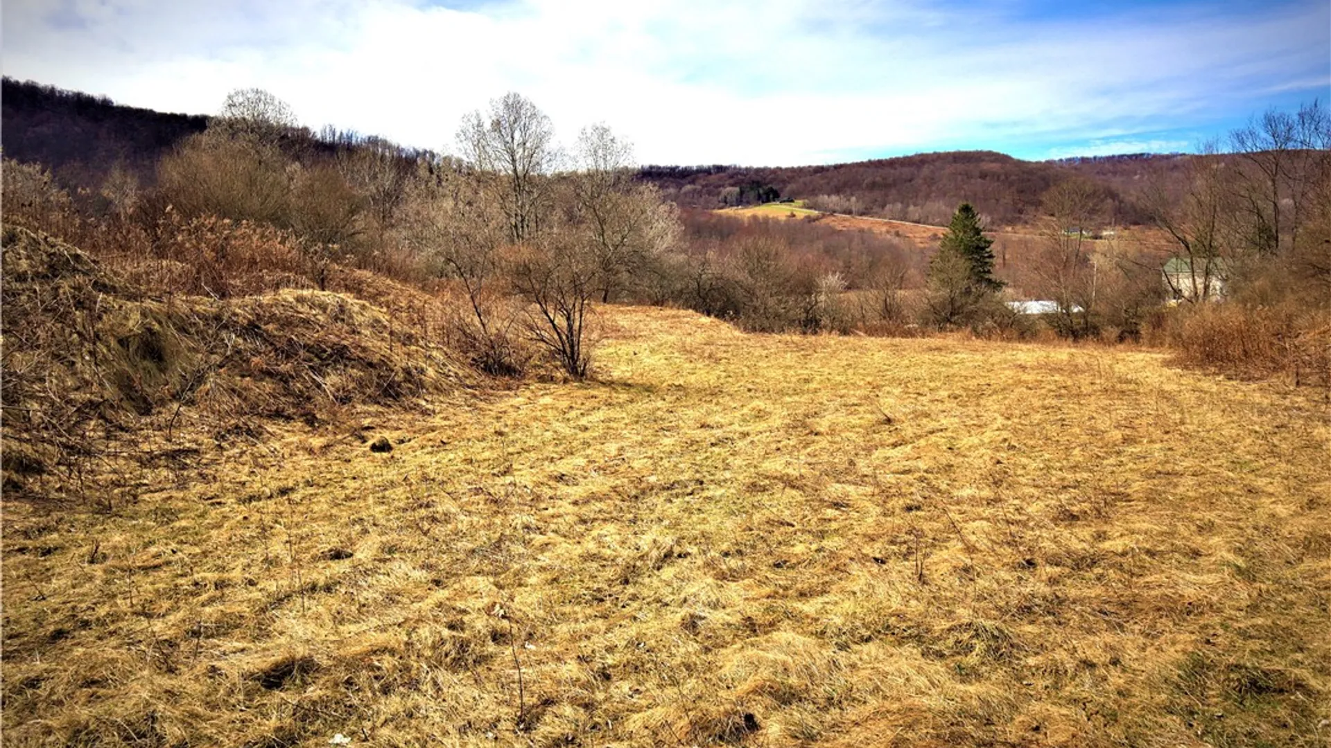 Property at 5306 Route 16, Ischua, NY 14743 18
