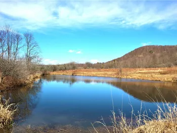 5306 Route 16, Ischua, NY 14743