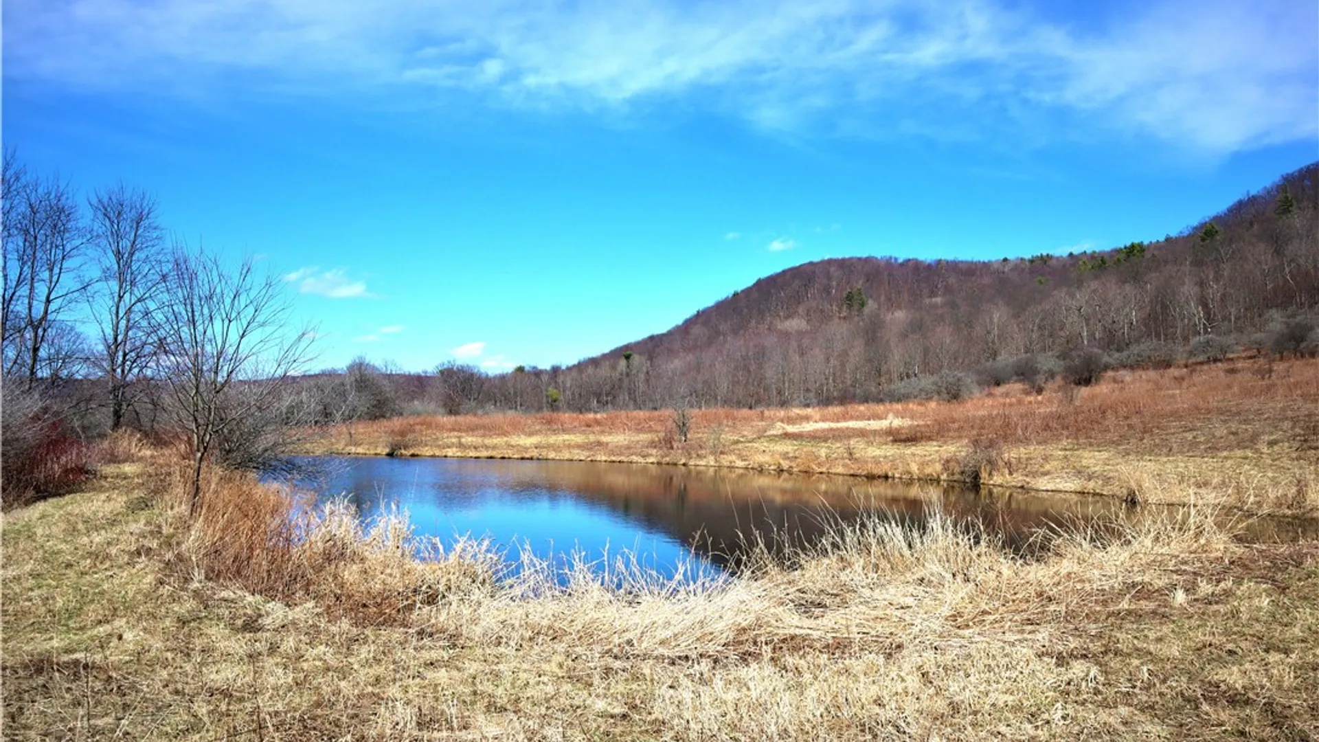 Property at 5306 Route 16, Ischua, NY 14743 2