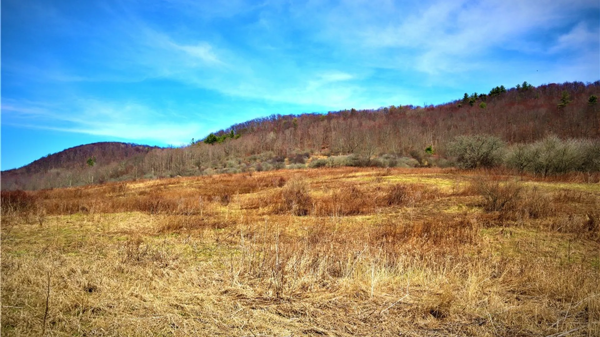 Property at 5306 Route 16, Ischua, NY 14743 22