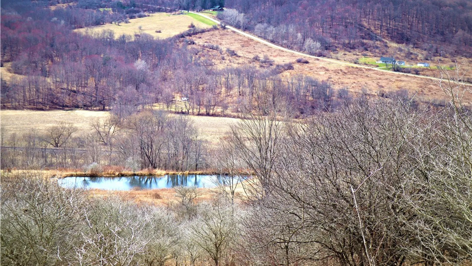 Property at 5306 Route 16, Ischua, NY 14743 3