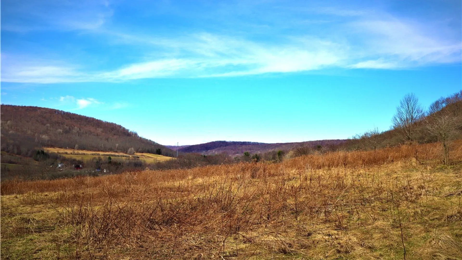 Property at 5306 Route 16, Ischua, NY 14743 4