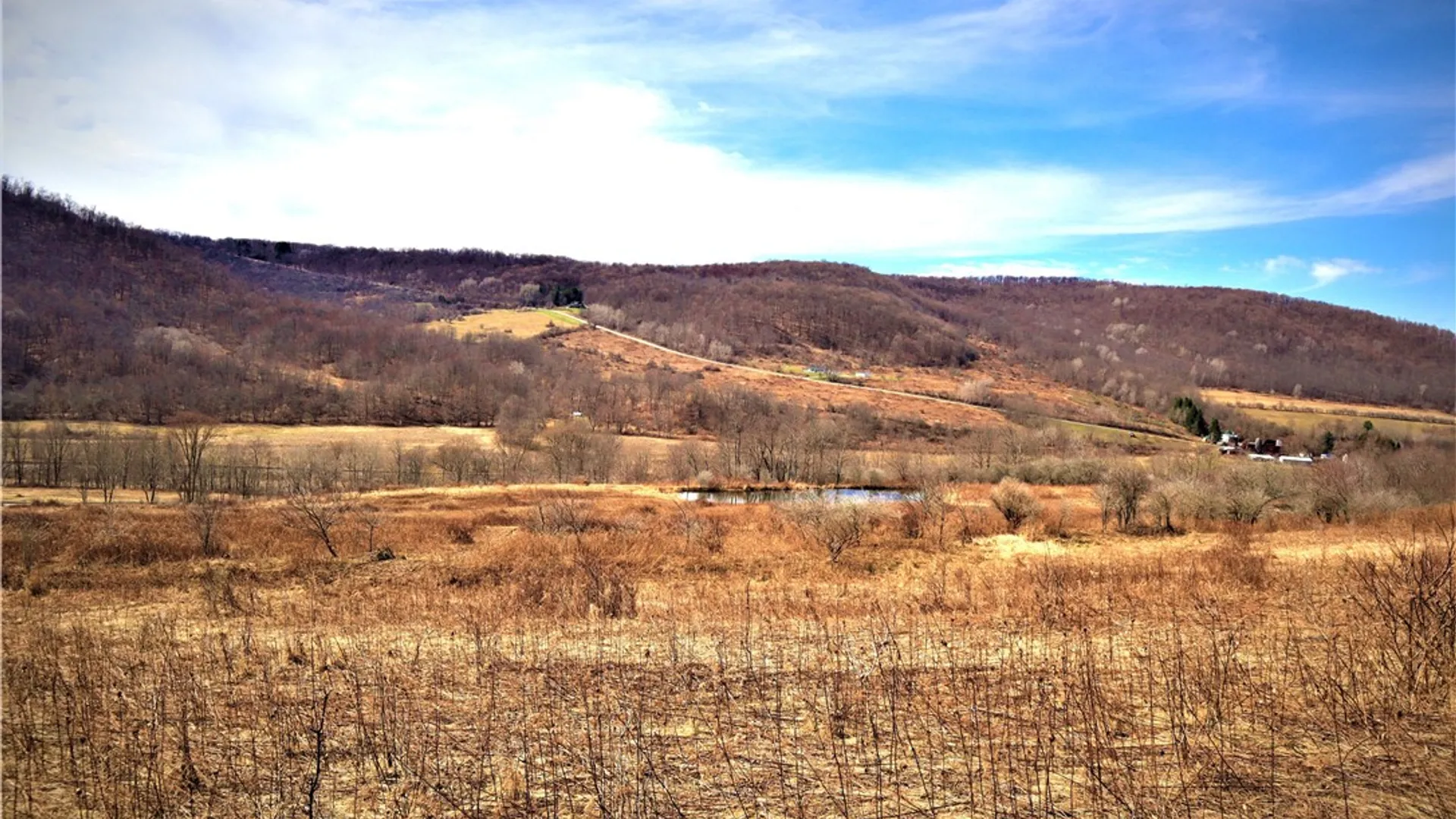 Property at 5306 Route 16, Ischua, NY 14743 6