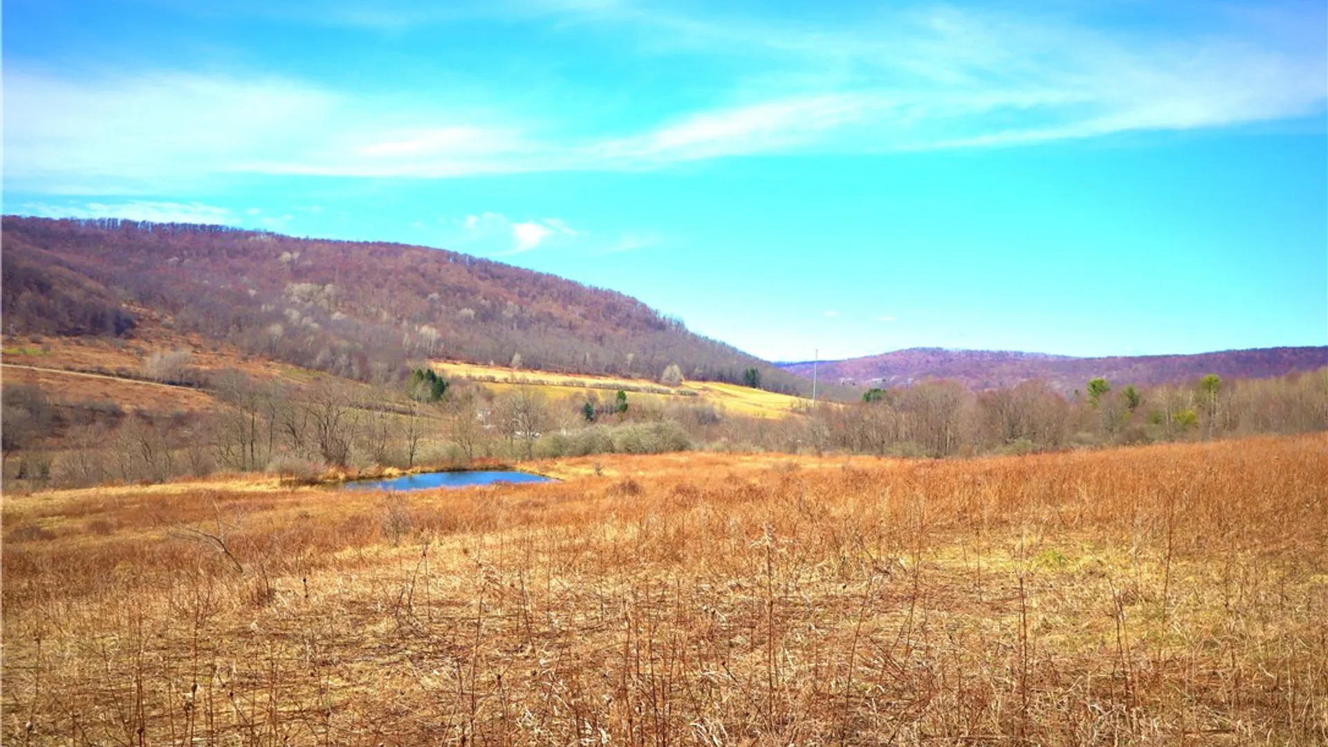 Property at 5306 Route 16, Ischua, NY 14743 7
