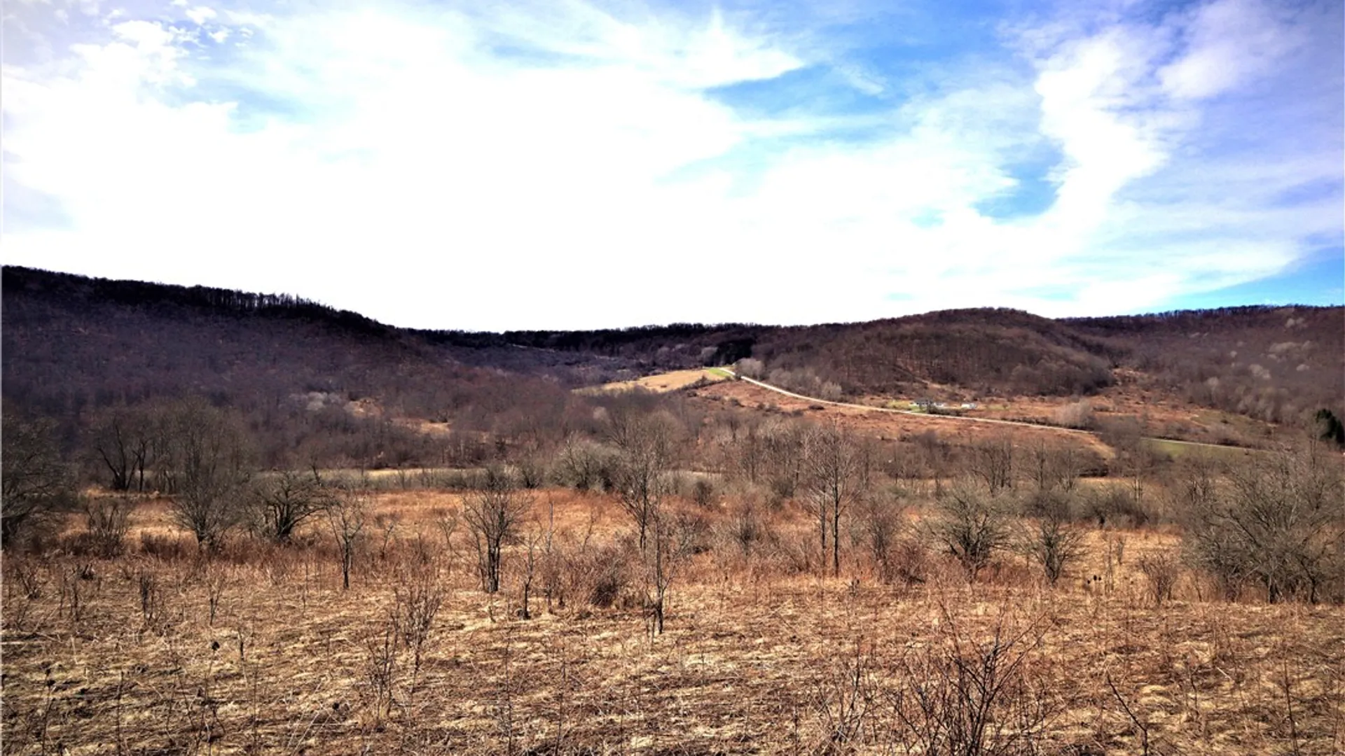 Property at 5306 Route 16, Ischua, NY 14743 9