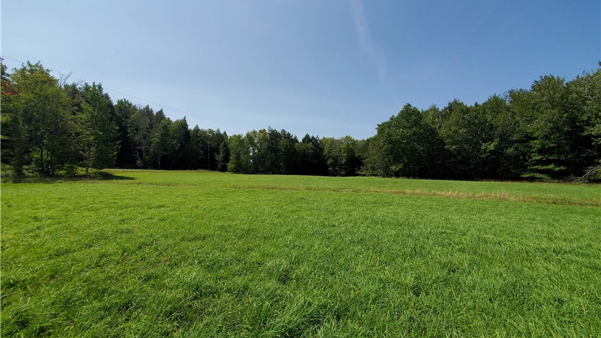 Property at Lot 10 Bull Hill Road, Conesville, NY 12076 11