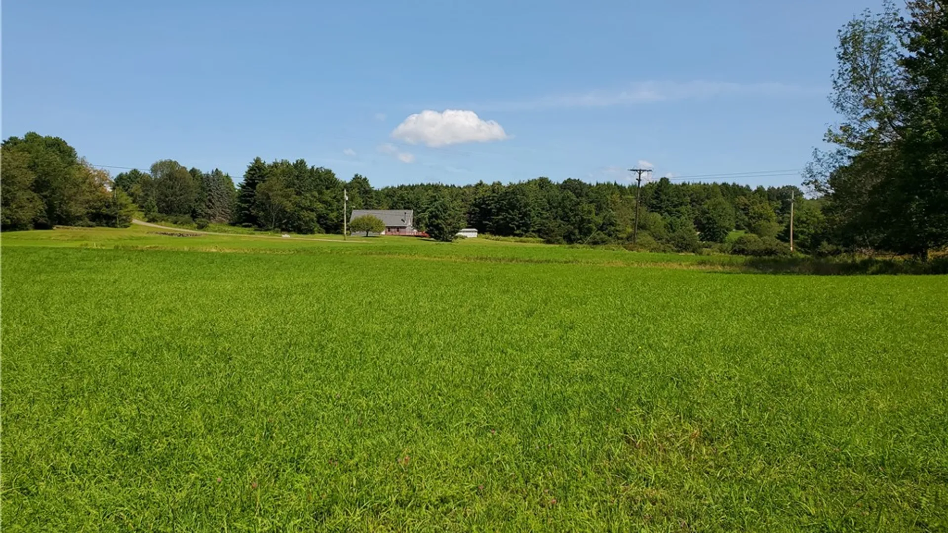 Property at Lot 10 Bull Hill Road, Conesville, NY 12076 13