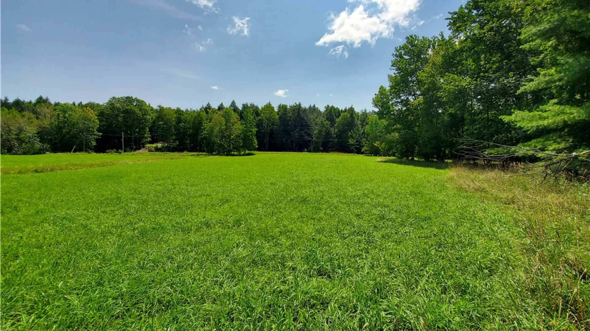 Property at Lot 10 Bull Hill Road, Conesville, NY 12076 15