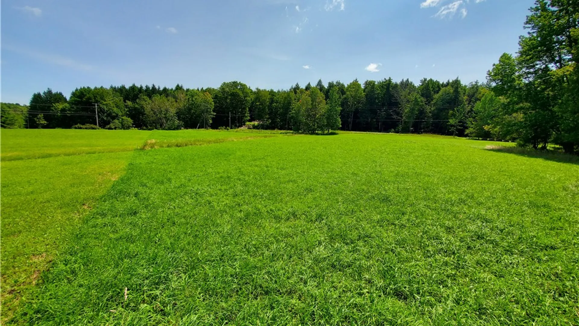 Property at Lot 10 Bull Hill Road, Conesville, NY 12076 16